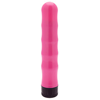 Multi Speed Vibrator Silver And Black
